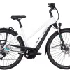 Pegasus Premio Evo 10 Lite Trapez 750Wh Metallic Off-white/black Matt -SKS Geschäft image 115