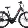 Pegasus Premio Evo 5NR Tiefeinsteiger 625Wh Black Matt -SKS Geschäft image 129