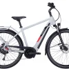 Pegasus Solero Evo 9 Diamant 625Wh Cool Grey -SKS Geschäft image 137