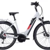 Pegasus Solero Evo 9 Tiefeinsteiger 625Wh Cool Grey -SKS Geschäft image 148