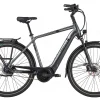 Pegasus Strong Evo 5R Diamant 625Wh Black Chrome Matt/black -SKS Geschäft image 182
