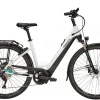 Pegasus Premio Evo 10 Lite Tiefeinsteiger 750Wh Metallic Off-white/black Matt -SKS Geschäft image 197