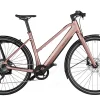 Riese & Müller Riese&Müller UBN Seven Touring Mixte 430Wh Rose 2023 -SKS Geschäft image 199