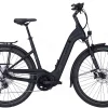 Pegasus Strong Evo 12 Lite Tiefeinsteiger 750Wh Black Matt -SKS Geschäft image 219