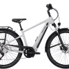 Pegasus Savino Evo 10 CX Diamant 625Wh Light Grey -SKS Geschäft image 228