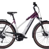 Bulls Cross EVO Trapez 750Wh Dark Berry/light Grey