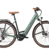 Bulls Urban EVO 12 Wave 625Wh Emerald Green Matt -SKS Geschäft image 261