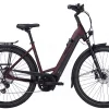 Pegasus Strong Evo 10 Lite Tiefeinsteiger 625Wh Dark Red Matt/black Matt -SKS Geschäft image 289