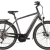 Pegasus Strong Evo 10K Diamant 625Wh Black Chrome Matt/black -SKS Geschäft image 303