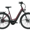 Pegasus Strong Evo 5F Tiefeinsteiger 625Wh Dark Red Matt/black Matt -SKS Geschäft image 311