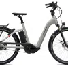 Flyer Gotour4 5.00 Tiefeinsteiger 630Wh Cast Silver Gloss -SKS Geschäft image 315