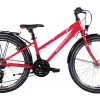 Mammut Sport 21K 24" Trapez Raspberry Red 2023 1 Mammut Sport 21K 24" Trapez Raspberry Red 2023 -SKS Geschäft image 407