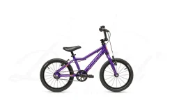 Academy Grade 3 Belt 16-1 Purple