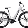 Pegasus Savino Evo 10 CX Tiefeinsteiger 625Wh Light Grey -SKS Geschäft image 54
