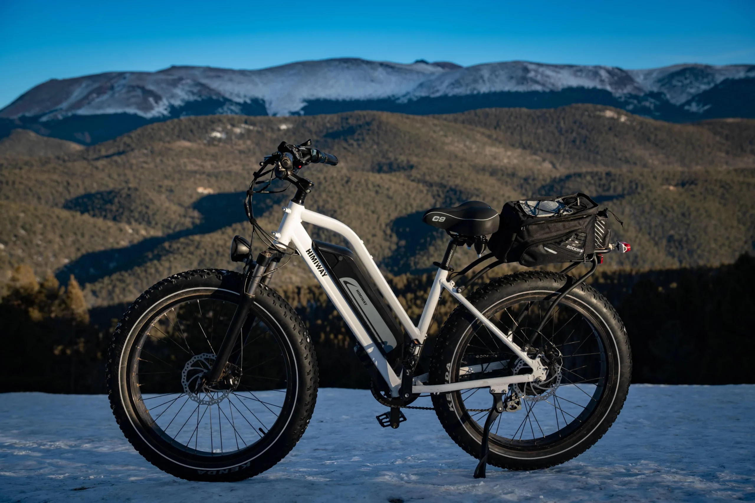 Fahrrad Geschäft 2 Fahrrad Geschäft -SKS Geschäft lock your electric fat bike to prevent theft scaled